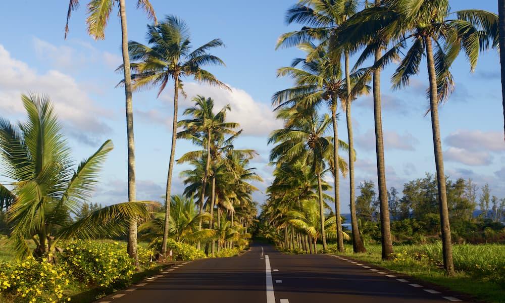 Mauritius's standard of living is improved by new roadways